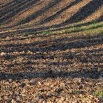 18869769_1464337133625116_954056141_o