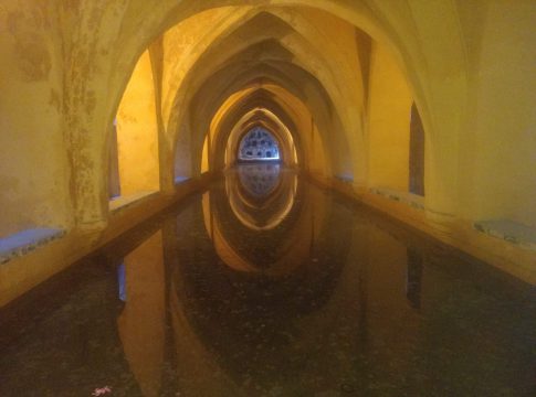 Okli poženejo iz tal