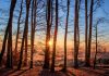 vir: Pixabay